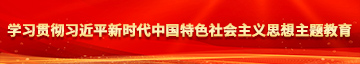 欧美大鸡巴操学习贯彻习近平新时代中国特色社会主义思想主题教育